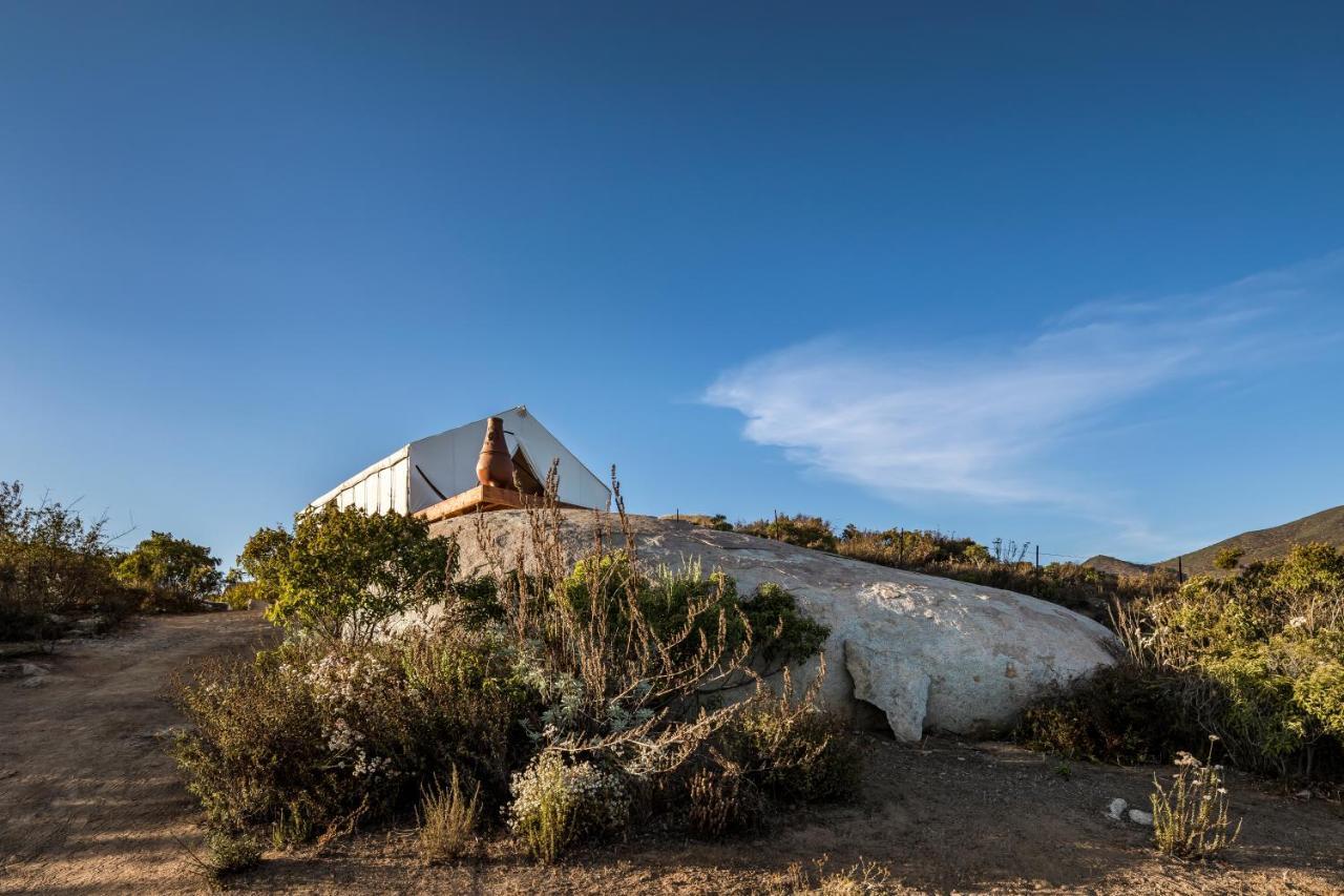 Hotel Casa Misiones Glamping Valle de Guadalupe Zewnętrze zdjęcie