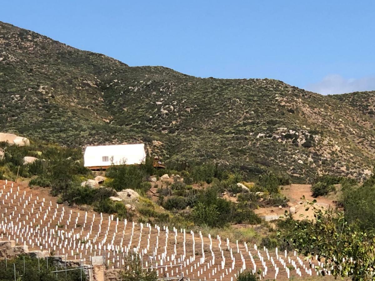 Hotel Casa Misiones Glamping Valle de Guadalupe Zewnętrze zdjęcie