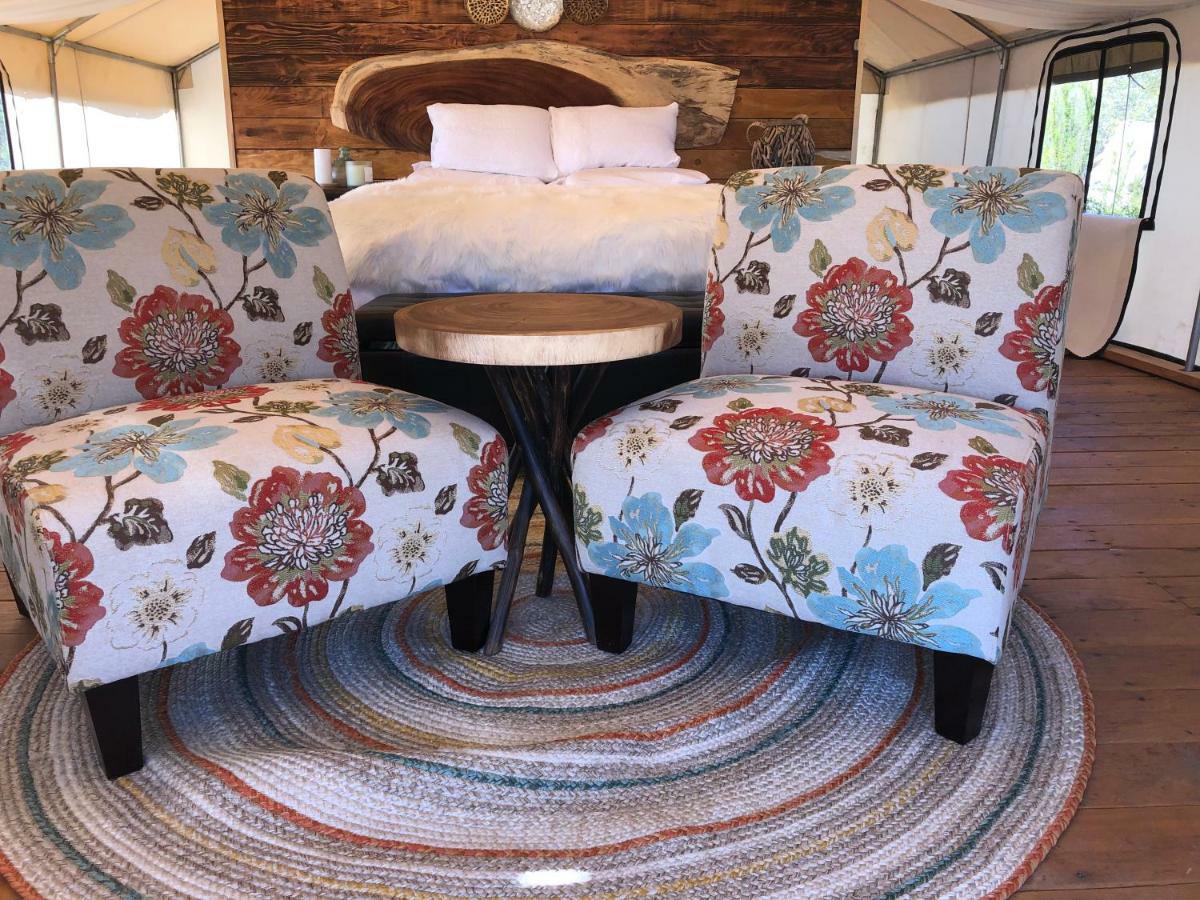 Hotel Casa Misiones Glamping Valle de Guadalupe Zewnętrze zdjęcie